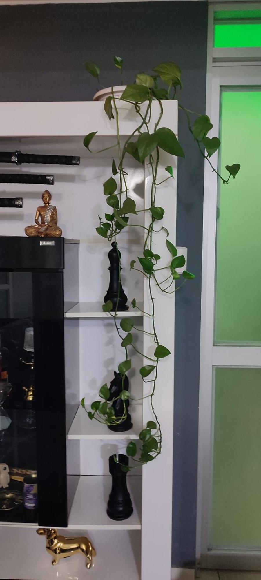 Sumaq Airport Apartment ลิมา ภายนอก รูปภาพ